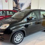 Miniatura veicolo