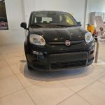 Miniatura veicolo